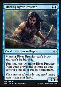 Marang River Prowler (Marangfluss-Herumtreiber)
